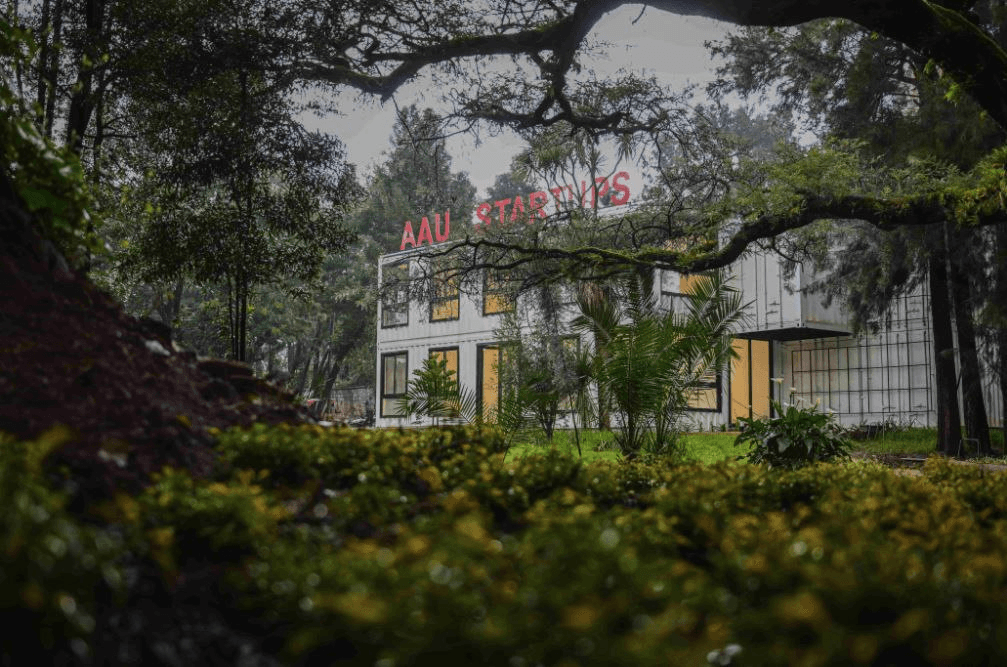 AAU Campus 4